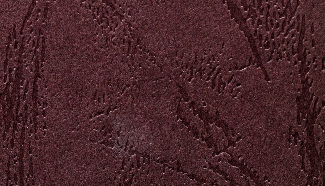 مراقبت از محصولات چرمی