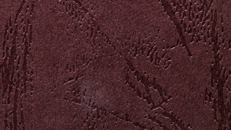 مراقبت از محصولات چرمی